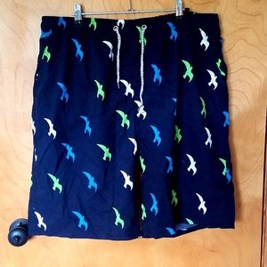 Mens bird swim trunks
